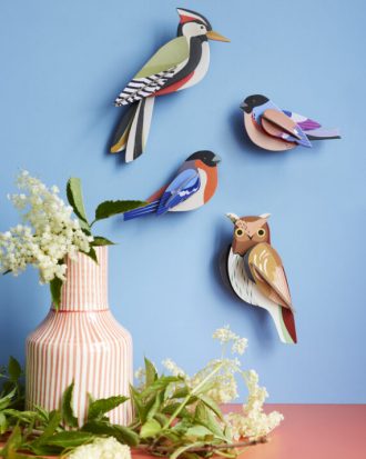 Les oiselles des jardins