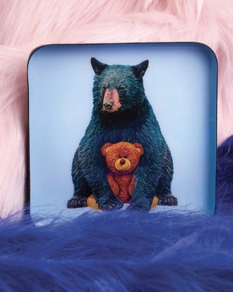 Les vide-poches CURIOSITO