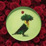 Les plateaux ronds CURIOSITO