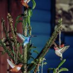 Le couple de Colibris en bois sculpté
