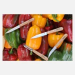 Les essentiels du Cuisinier Opinel